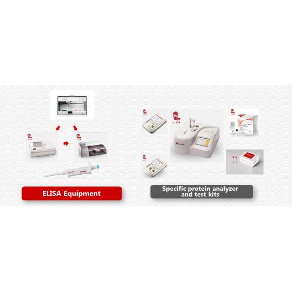 Shenzhen Huisong Technology Development Co.,Ltd