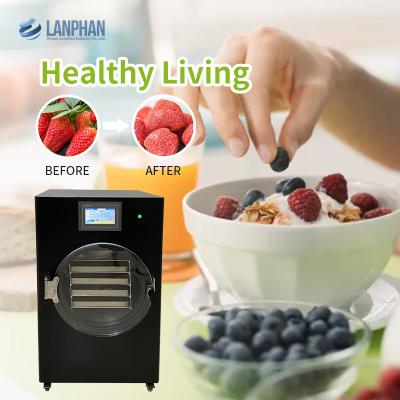 Os vegetais de frutos limpam um Lyophilizer mais seco do controle de Digitas da casa do gelo