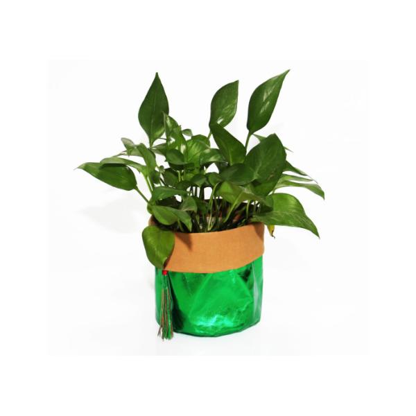 0.55mm Washble Kraft Paper Storage Bags Light Reusable Paper Bag Seedling Pots