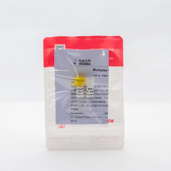 Multiplex Probe qPCR Mix for DNA real time PCR 100ml