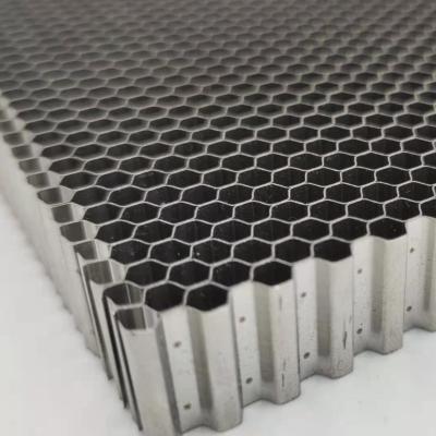 núcleo de favo de mel de aço inoxidável de 60mm 304 grossos de grande resistência