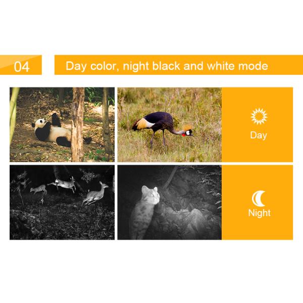 4k IR LED Night Vision Outdoor Wildlife Camera , Security Digital Trail Camera