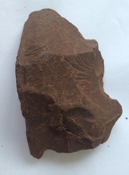 FCC Dutche Pure Cacao Alcalinisé en Poudre de Masse de Cacao 52% Matière Grasse