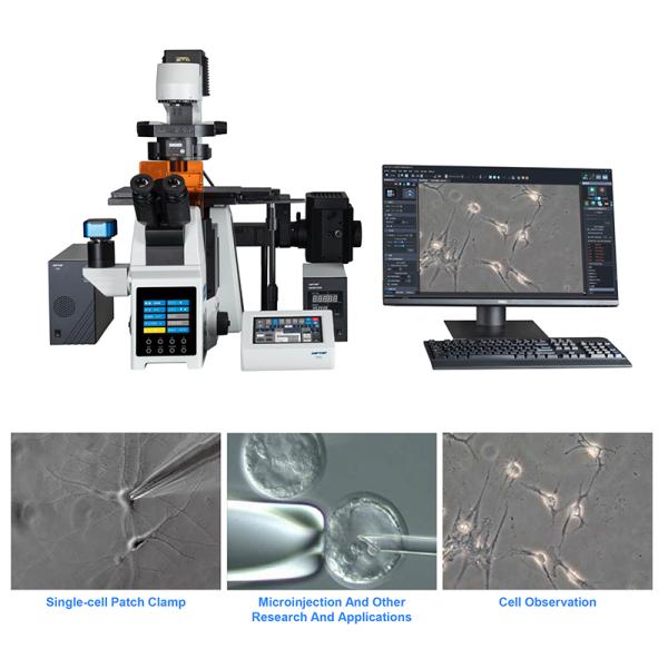 Opto Edu A16.0960 Research Level Inverted Fluorescent Microscope Motorized Nosepiece Condenser