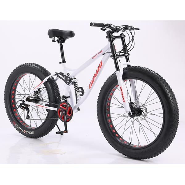 Fat tire vélo Fatbike personnalisable Croisière Neige Pleine suspension Vélo de montagne Vélo de plage Vélos à queue douce 21 vitesses