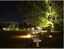 Pure White Epistar Decorative Flood Light 100w 200w 300w Outdoor IP65