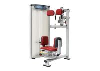Torso rotatorio del levantamiento de pesas comercial del equipo de entrenamiento de la fuerza de la matriz de uso del gimnasio