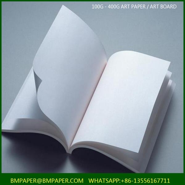 Duplex Board Grey Back for Tissue Packaging Boxes Couche Paper
