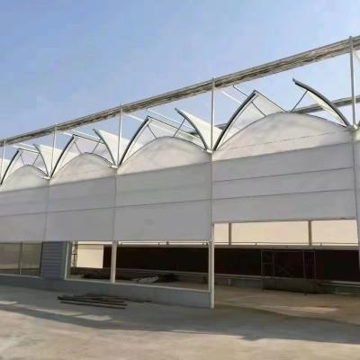 Sunlight Greenhouse 100% Blackout Automatic Light Deprivation Greenhouse in Canada / USA