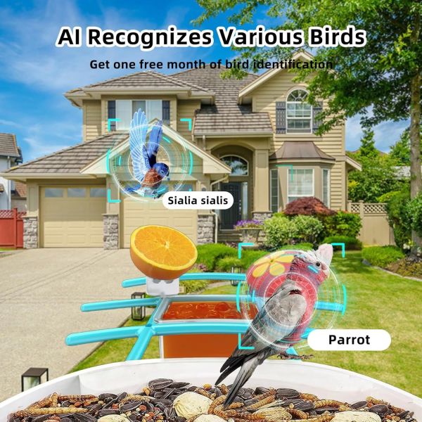 Outdoor Waterproof Smart Bird Feeder Camera with Squirrel Repellent