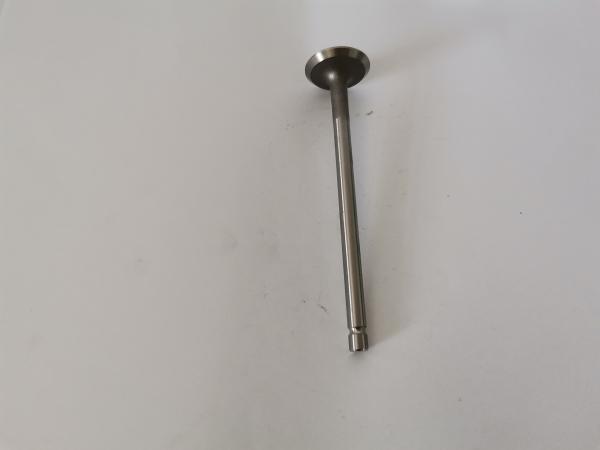 Peugeot 206 1.6 16V TU5JP4 Diesel Engine Valve Car Exhaust Valve 54292014