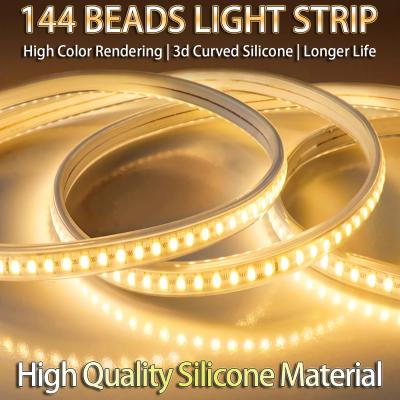 Wire Drawing Surface 24V LED Light Strip for Special Brightness Outdoor Lighting