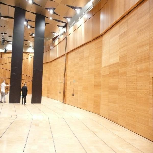 Paredes de división plegables de desplazamiento acústicas en las ruedas/las paredes de división de la sala de reunión