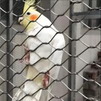 Cuerdas de alambre de acero inoxidable de alta resistencia tejida a mano para zoológicos