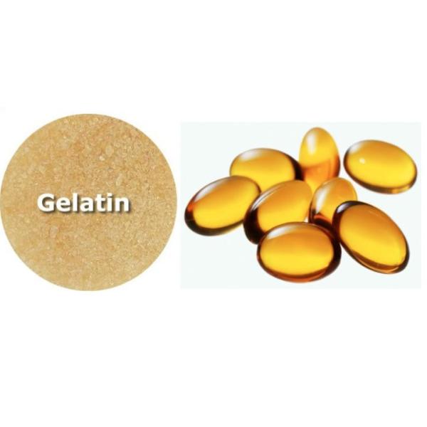 Capsules souples Géline pharmaceutique 130 Bloom 140 Bloom 150 Bloom Géline Halal