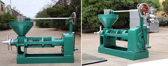 1910*550*765mm Screw Type Castor Seeds Oil Expeller Machine for Cashew Nut Shell Peanut Oil Press in Congo