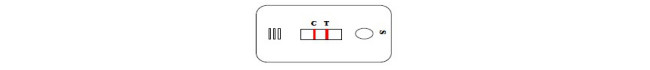 CIV тест 10Tests/Kit GMP гриппа собаки набора теста собачьего любимца антигена инфлуензы быстрый