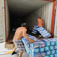 Amostra grátis Portagem Livre Barata Super espessa Calças de algodão para idosos Brinquedos de incontinência Adultos Calças de fraldas descartáveis Pull Up
