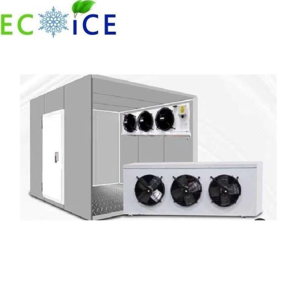 Fruit Cold Room Meat Cold Storage Room Cold Room Vegetable Cold Storage Room Industrial Freezer