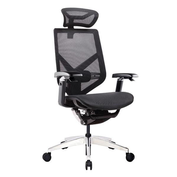 Full Mesh Swivel Ergonomic Executive Chair 5D Paddle Mesh Back Office