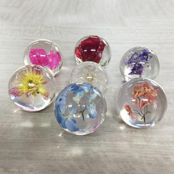 Высушенный логотип стиля природы шарика 80mm пресс-папье цветка подгонял