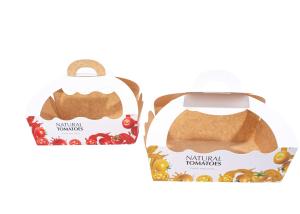 Caixas de embalagem Compostable de Apple, caixa de presente reciclável das