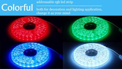 Epistar 12v led strip  240led/m SMD3528 strip light 24v double row led strip waterproof 2700-6500K