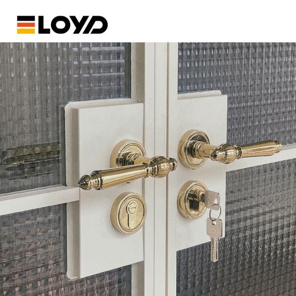 Double Glass Tempered Fire Rated Aluminum Door Frames French Style