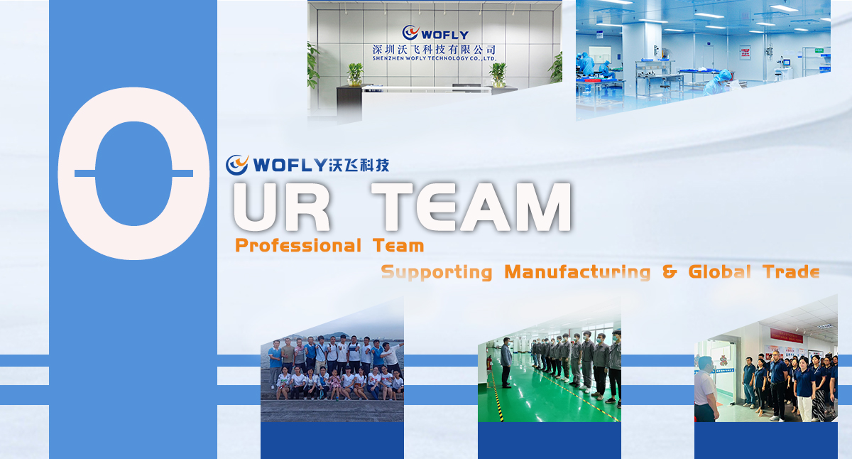Shenzhen Wofly Technology Co., Ltd.