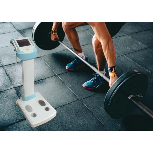 Sports Center / Wellness Spa Body Fat Percentage Calculator Machine with Multi - Frequency