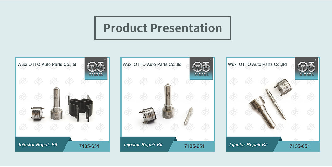 Набор для ремонта Delphi Injector Kit 7135-651 для R02201Z с насадкой L121PBD