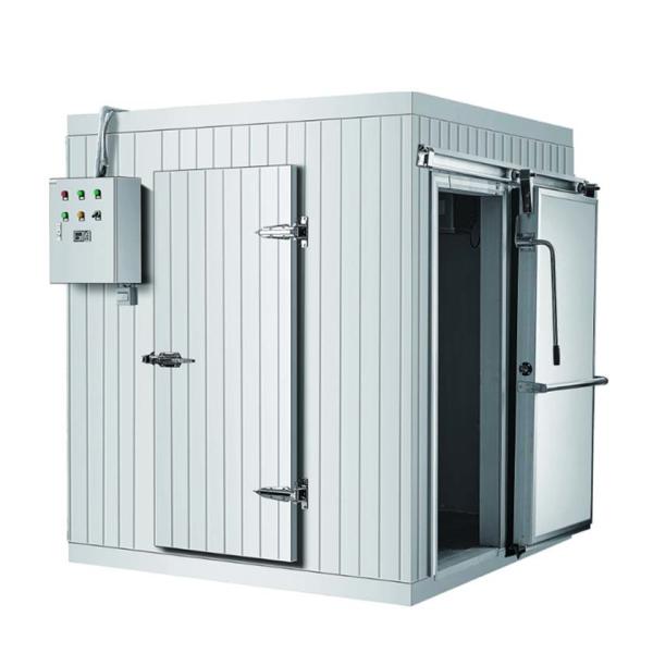 Porta deslizante de sala de armazenamento frio da casa do líquido refrigerante de R404a para o camarão
