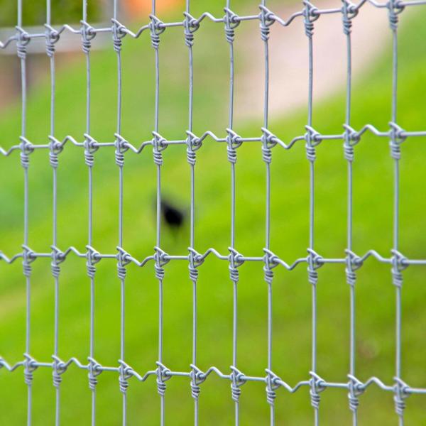 Скотины суставного сочленения загородки 1.2m узла оленей фиксированные загородка поля ячеистой сети