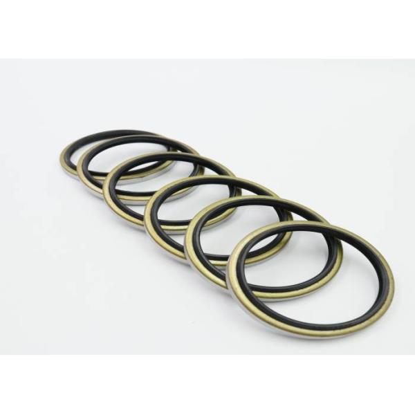 DBK Excavator Spare Parts NBR Material Black Hydraulic Oil Seal