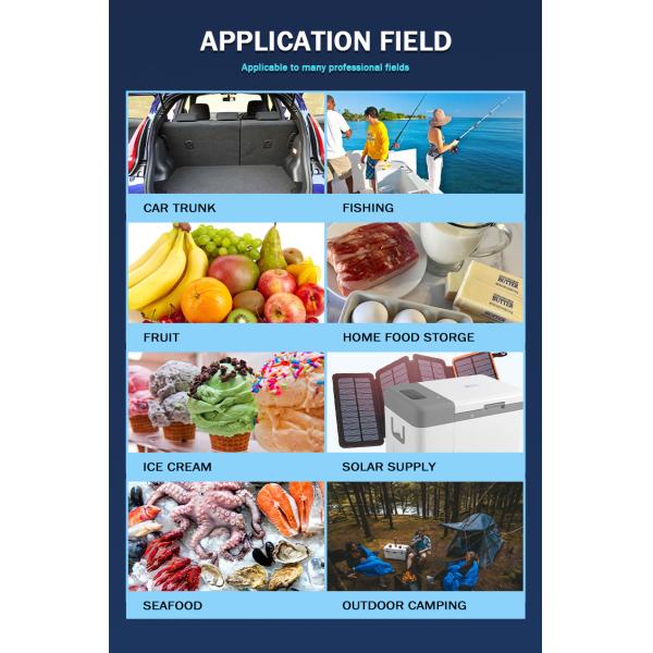 25L сверхнизкотемпературный постоянный ток солнечный холодильник для автомобилей -45C однотоннажный по Refport