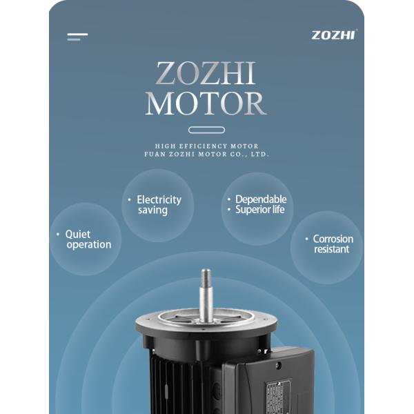 Moteur asynchrone monophasé en aluminium étanche pour pompe de piscine 1500 tr/min 220V 50/60Hz