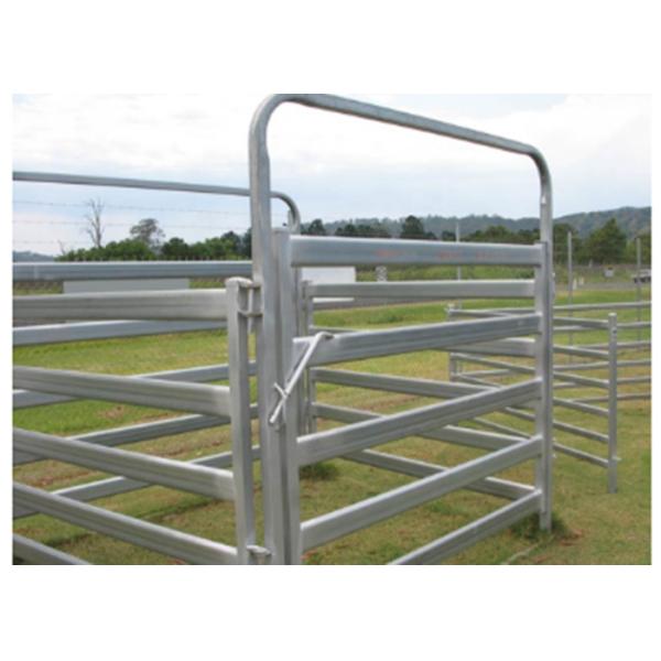 Metal Cattle Farm Equipment 1.6 * 1.8 Meters Hot Dip Galvanized Fence Panel
