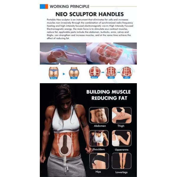 100-240VAC RF EMS Beauty Instrument 620nm 415nm 530nm For Face Slimming