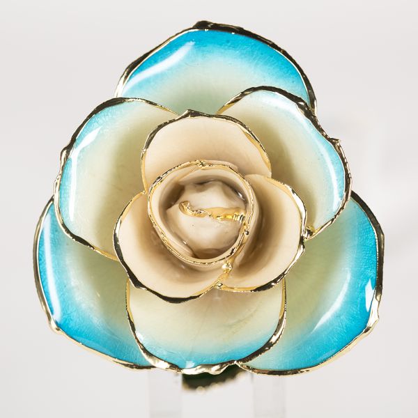 24k Gold Eternal Rose Flower Real Preserved Rose  Blue White Preserved Fresh Flower Preserved Gold Rose
