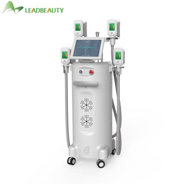Cryolipolysis Cryotherapy  Slimming Machine Price Fat Freezing Machine CE loss weight shaping
