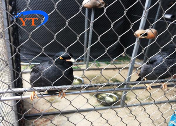 Soft Flexible 80x80mm Stainless Steel Rope Mesh At Animal Enclosure Zoo Fence Bird Aviary