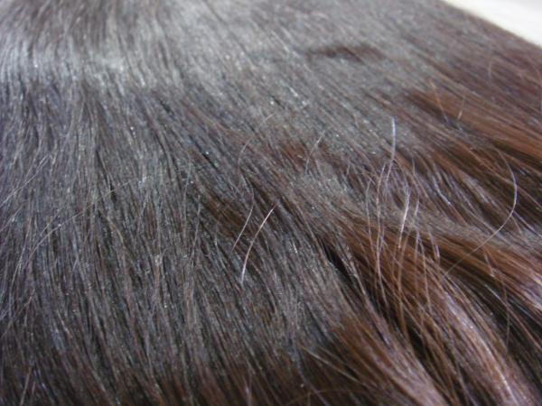 Mèches Raides et Fermeture 12 Pouces Extensions de Cheveux Halo 100 Grammes