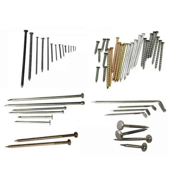 плоской головки ногтей длины 50mm общее хвостовика извива свободной кольцевое