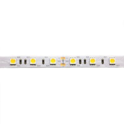 Dc24v 10m High CRI LED Strip 2700K Led Smd 5050 Strip Without Color Diffrence