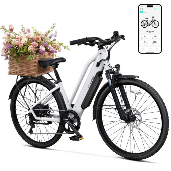TST C624 500W/750W Motor Adults Electric City Bike 36V/10.4Ah Removable 37km/h 7-Speed City Ebike 26