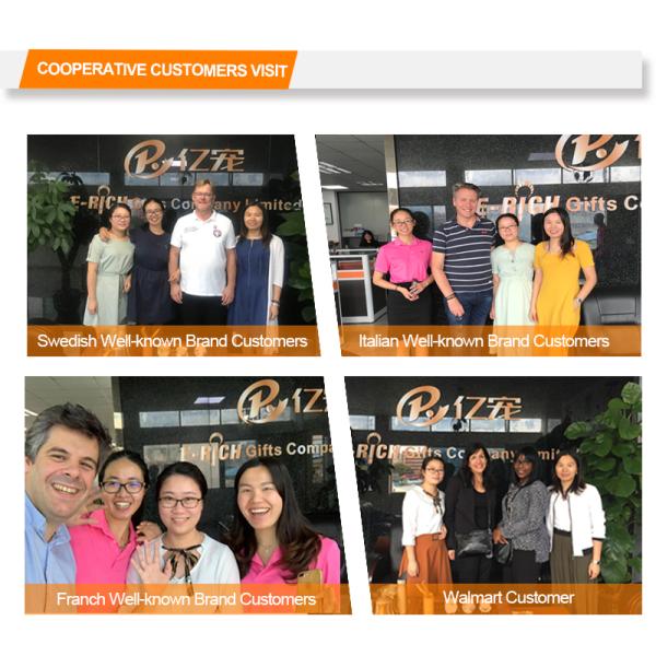 Изготовленное на заказ роскошное руководство проводки собаки логотипа установило зеленый Retractable поводок собаки