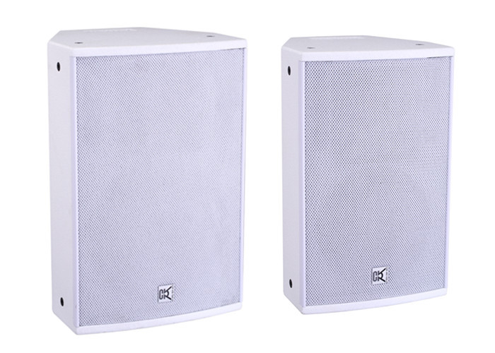 Church Sound System 15 Inch Audio Speaker