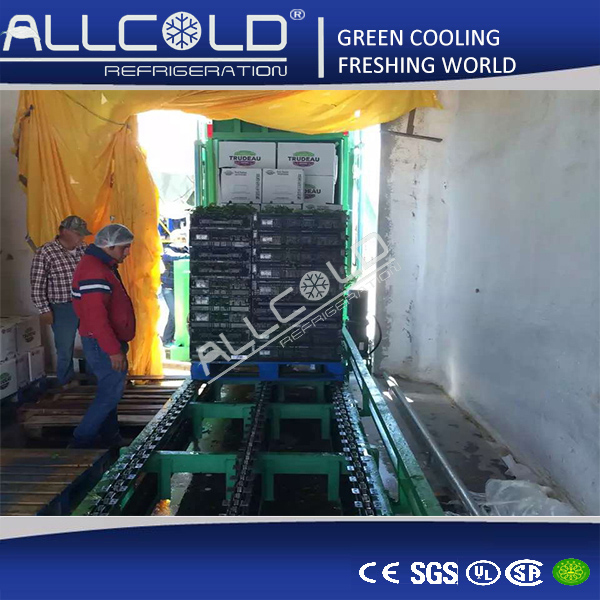 Sistema vegetal del enfriamiento al vacío