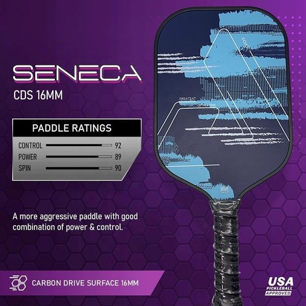 Joola Pickle Ball Paddel Graphite T700 Carbon Fiber Adult Racing Pickleball Paddle