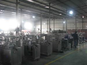 GMP Standard Pharmaceutical Processing Machines Tablet Capsule Blistering Machine